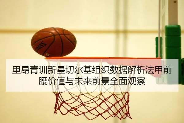 里昂青训新星切尔基组织数据解析法甲前腰价值与未来前景全面观察